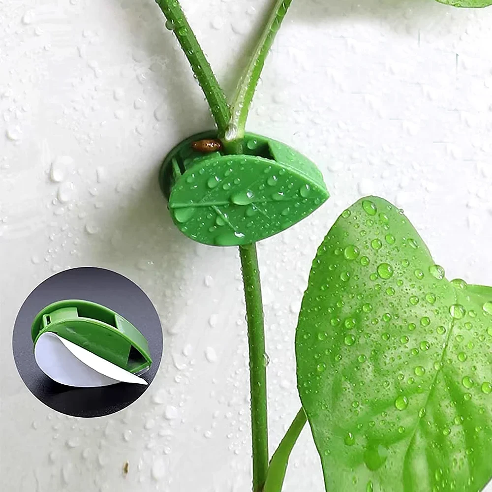 Invisible Plant Climbing Wall  - огляд і ціна Woodworking Glue