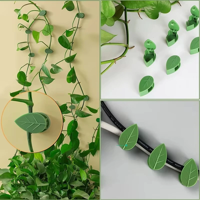 Invisible Plant Climbing Wall  - огляд і ціна Woodworking Glue